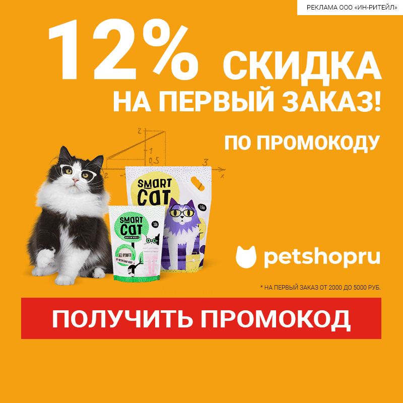 10 лучших веб-сайтов для поиска catcasino