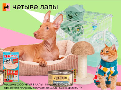 Четыре лапы: выгодные покупки для любимых хвостиков!