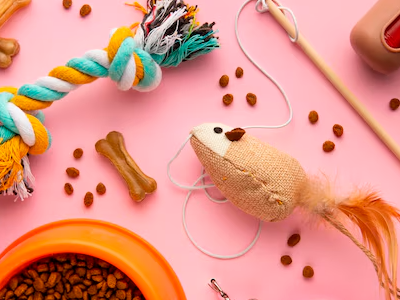 Топ-7 популярных интернет-магазинов зоотоваров!