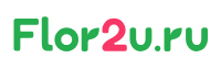 Флор 2 Ю