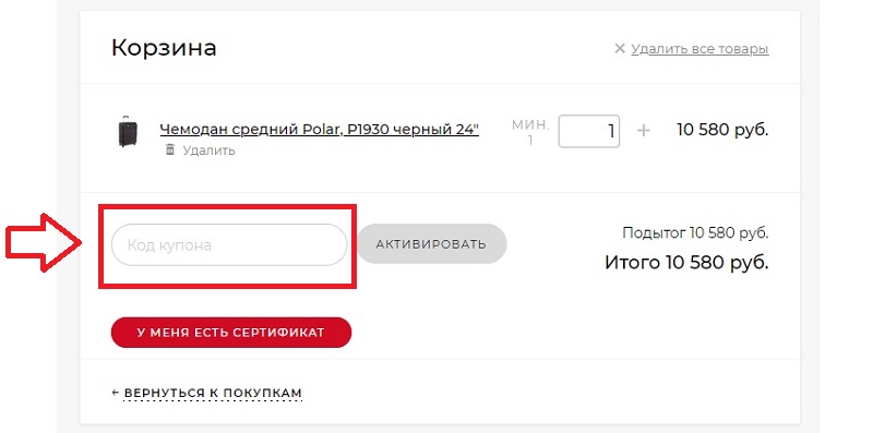 Баггинс купон