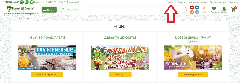 Русский Огород акции