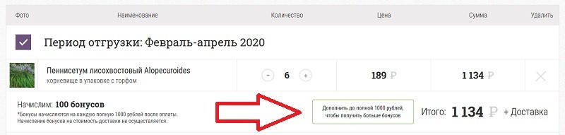 Гаршинка купон