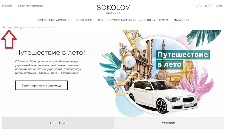 соколов серебряная подвеска в подарок по промокоду. Sokolov.ru akcii. соколов серебряная подвеска в подарок по промокоду фото. соколов серебряная подвеска в подарок по промокоду-Sokolov.ru akcii. картинка соколов серебряная подвеска в подарок по промокоду. картинка Sokolov.ru akcii. Промокод активен до 17.10.2021